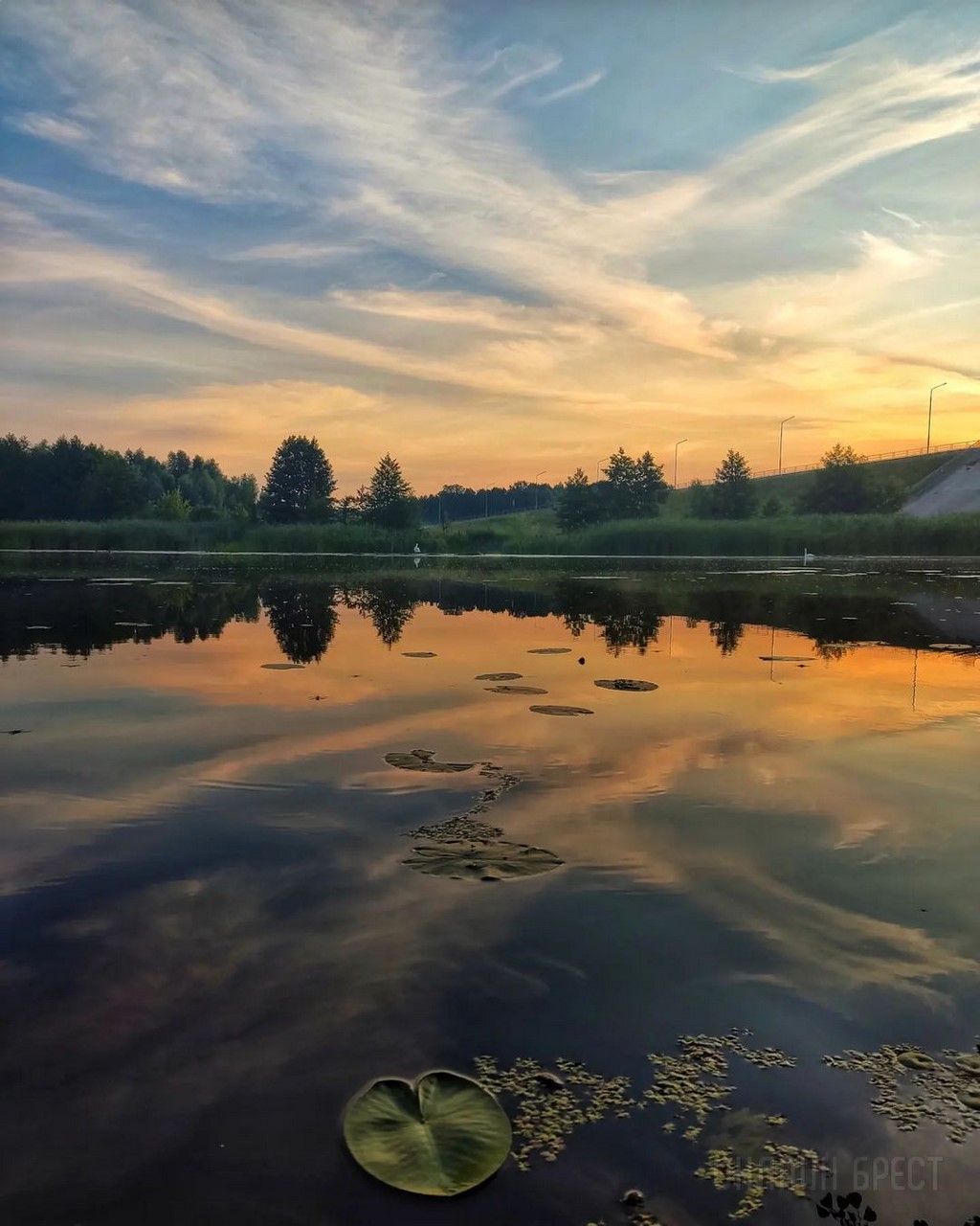 Читатель: Красивое утро! Фото сделаны в Брестской области