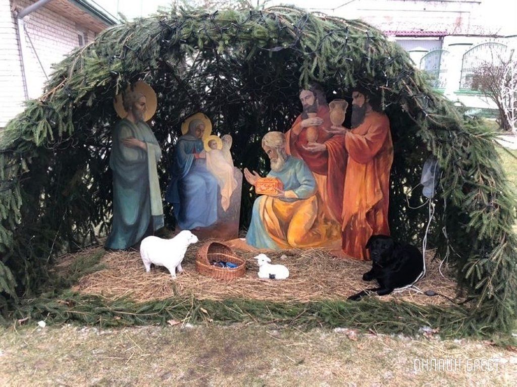 Читатель: Брест. На территории Свято-Симеоновского кафедрального собора ходит чёрный лабрадор, у него что-то с лапкой