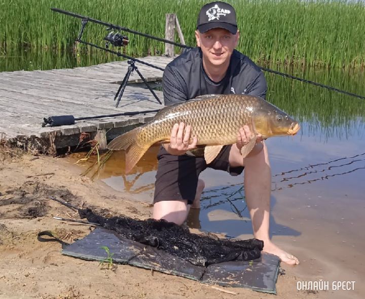Посмотрите, какого огромного карпа поймал брестчанин
