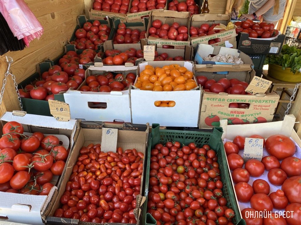 Что почем на рынке за ЦУМом в Бресте. Фоторепортаж