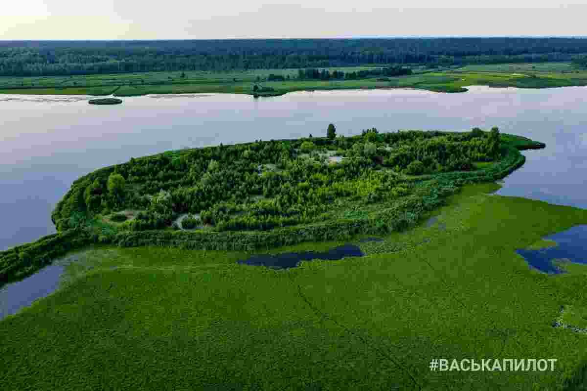 Беловежская пуща с высоты