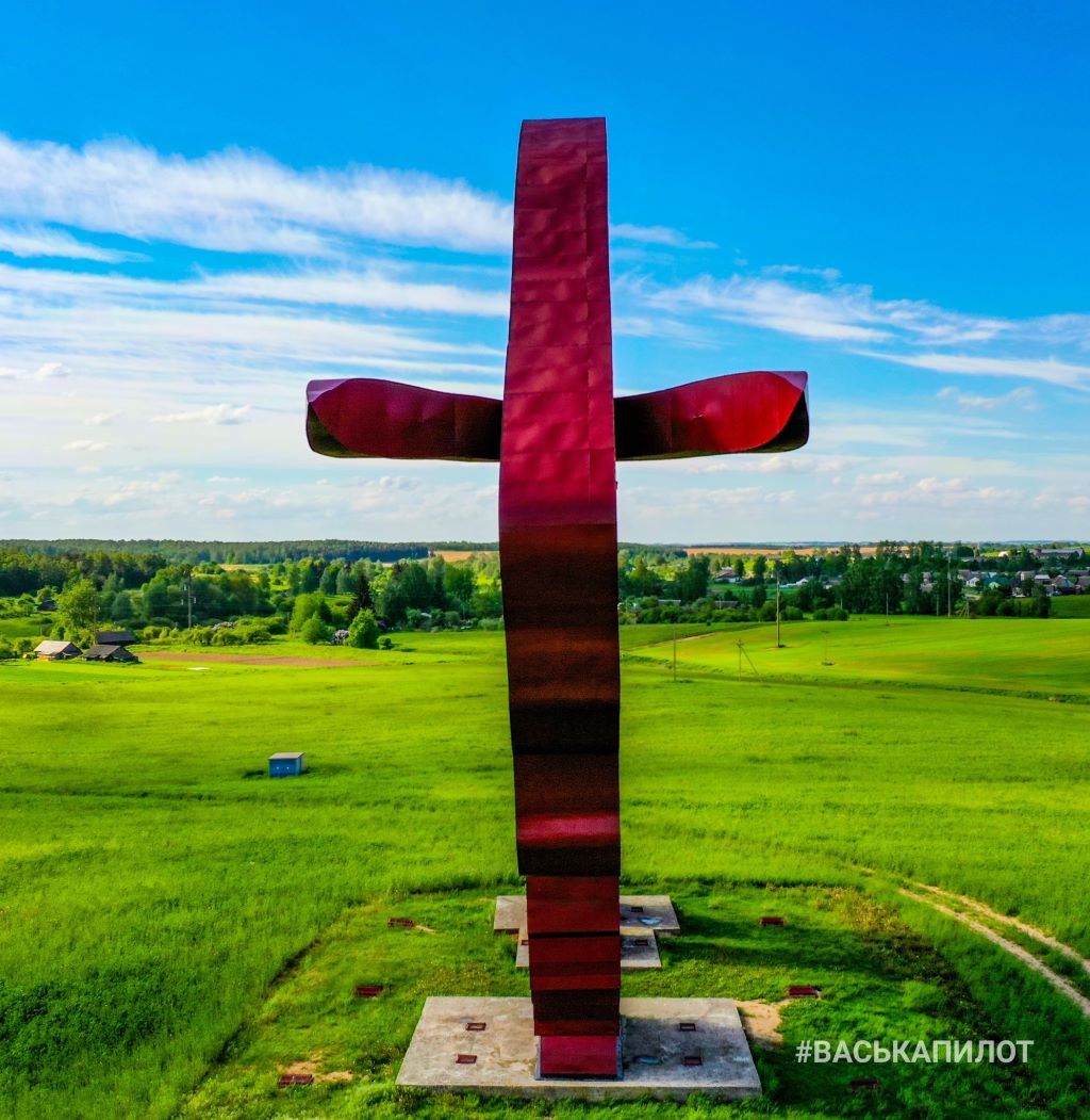 Зубр на трассе Брест-Минск