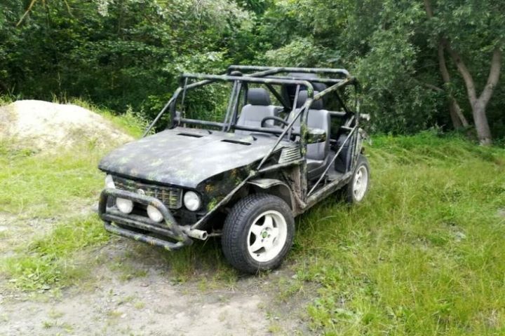 Посмотрите, какой «эксклюзивный Багги» продается в Кобрине