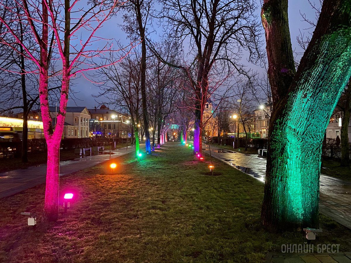 Читатель: Улица Мицкевича в Бресте