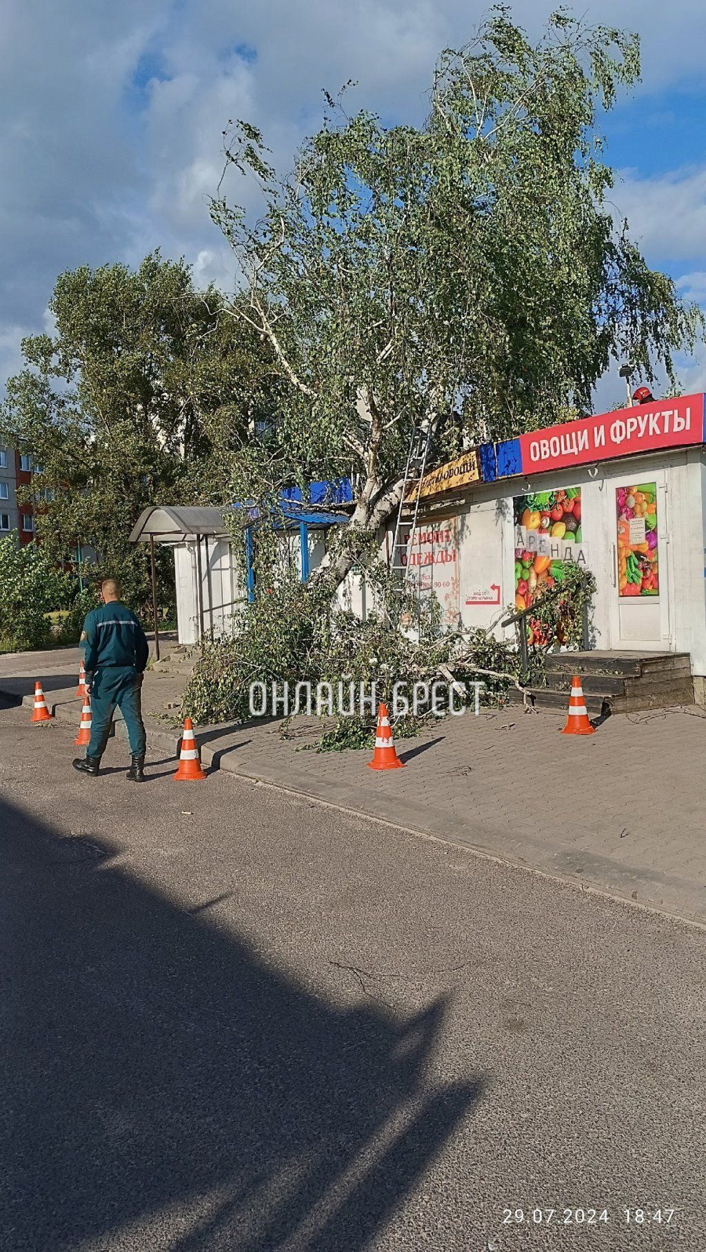 Читатель: В Бресте на Вульке дерево упало на павильон