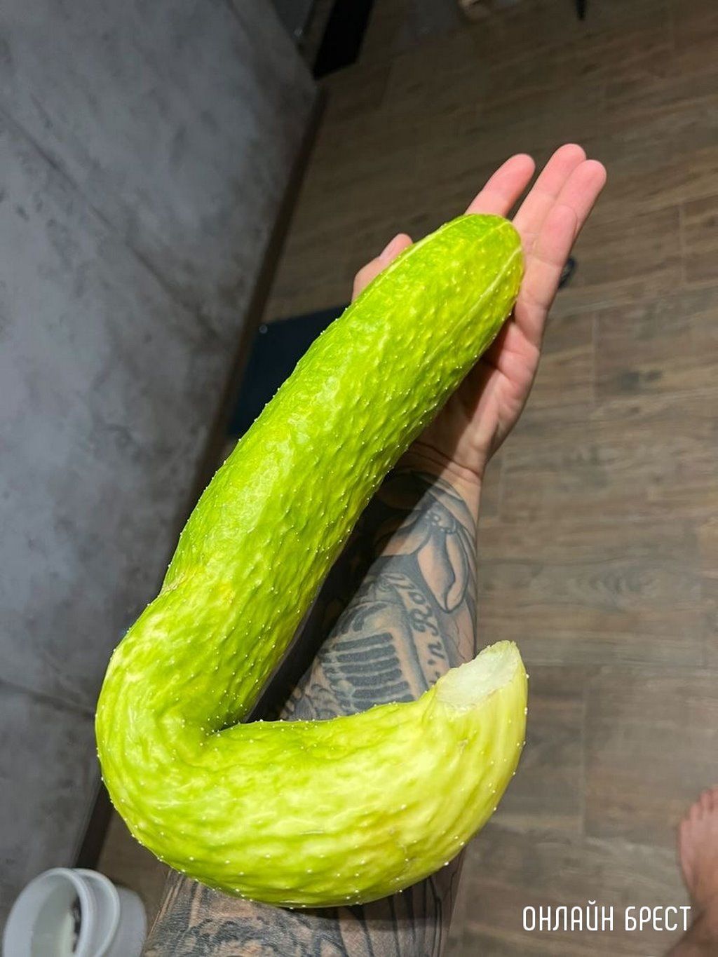 Читатель: Посмотрите, какой гигантский огурец вырос на огороде