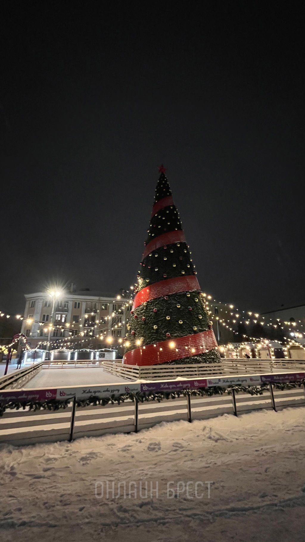 Главная новогодняя красавица Бреста. Фото сделаны сегодня ночью