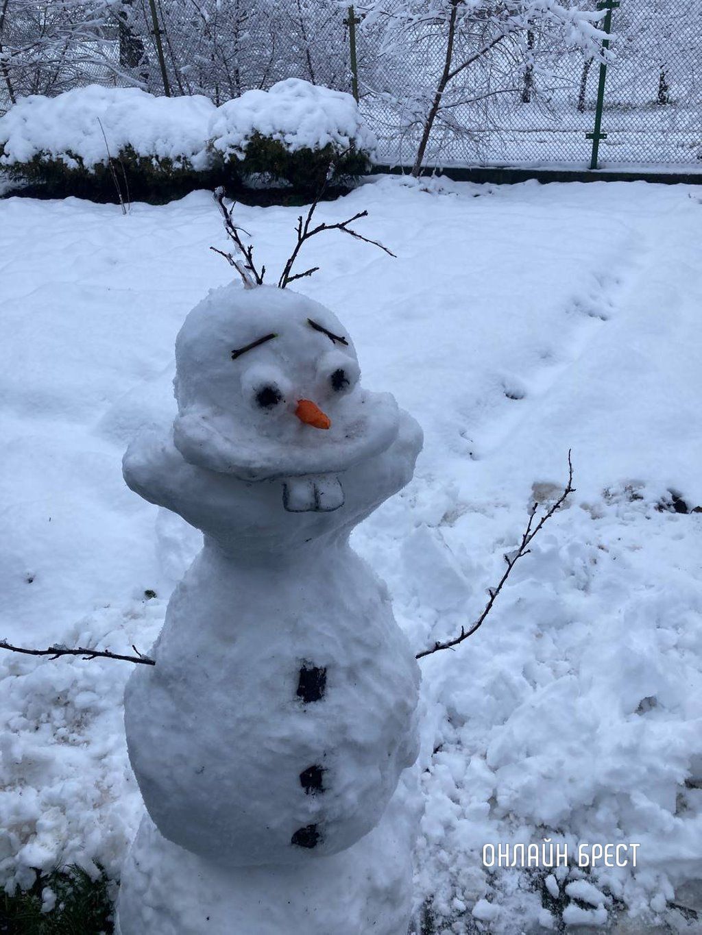 Читатель:  Посмотрите, какой классный снеговик слепили :)