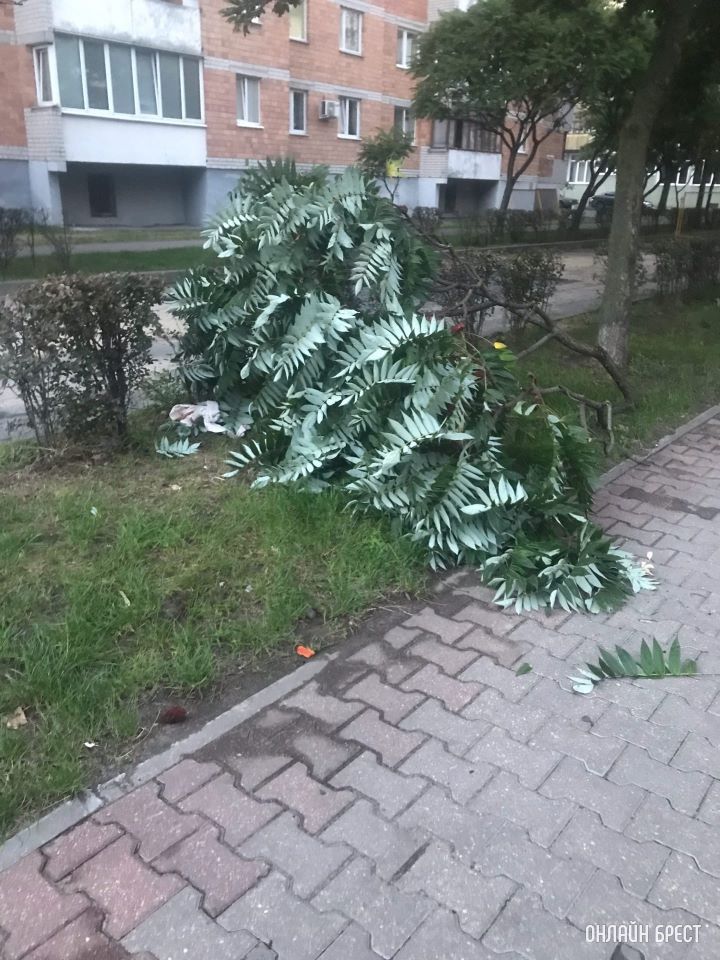 Вчера вечером вышла на улицу и оказалась в легком шоке