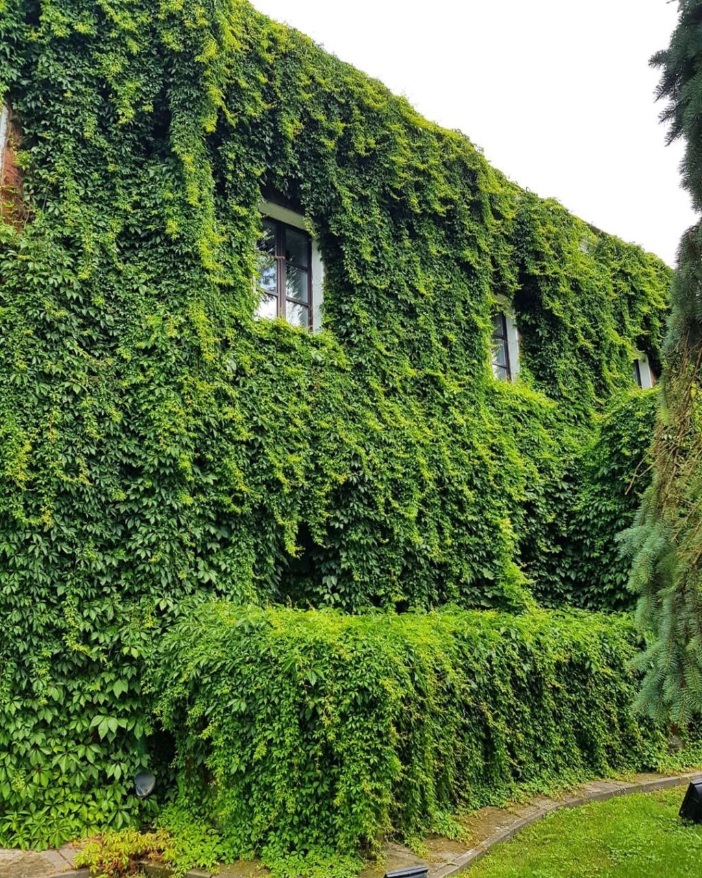 Такую красоту можно увидеть в Брестской крепости