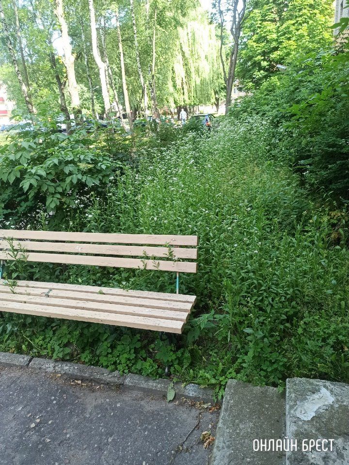 Читатель: Центр города. Брест, ул.Малая, 3