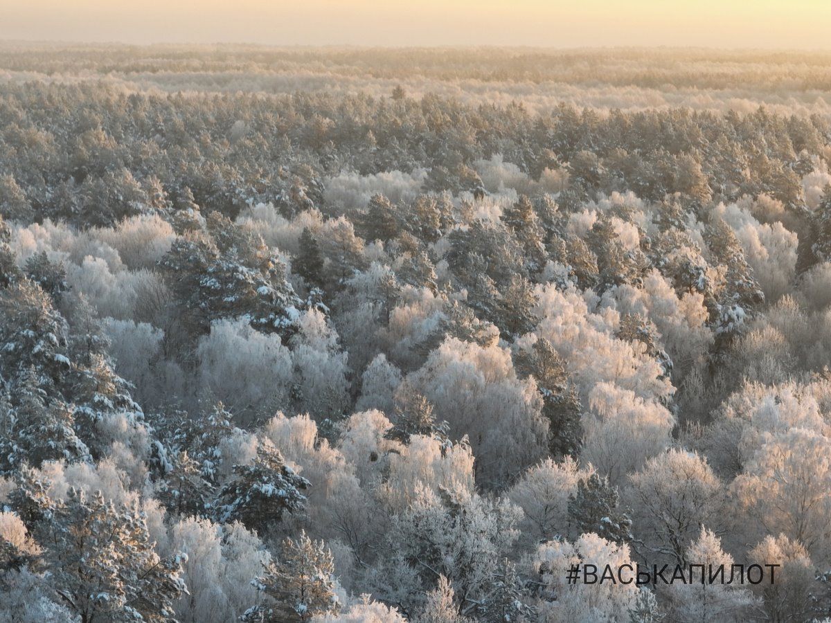 Красивые зимние кадры сняты пару дней назад в Брестской области