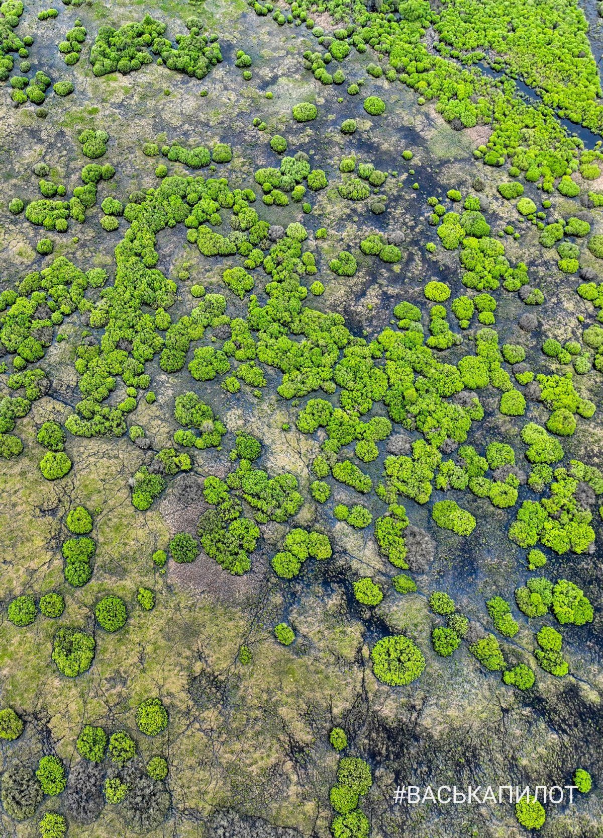 Природа. Кадры сделаны в Брестской области, недалеко от Пинска