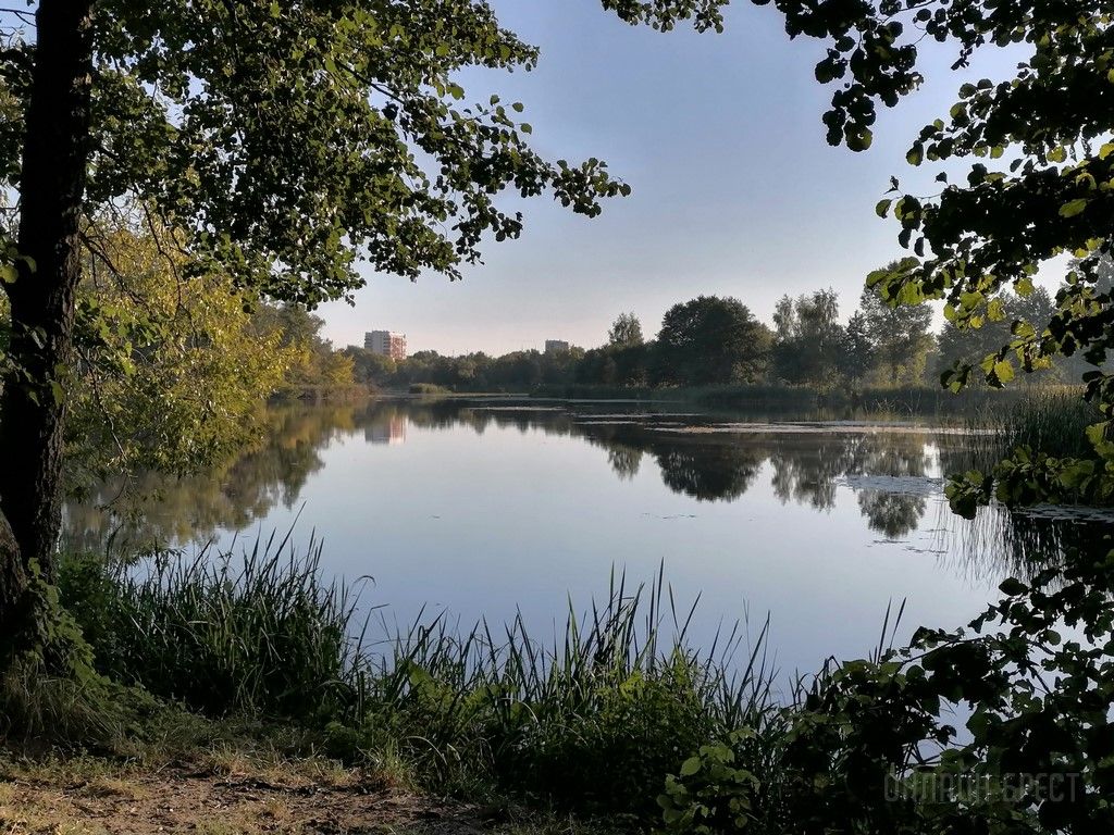 Читатель: Немного фотографий природы. Соя и Мухавец в Бресте