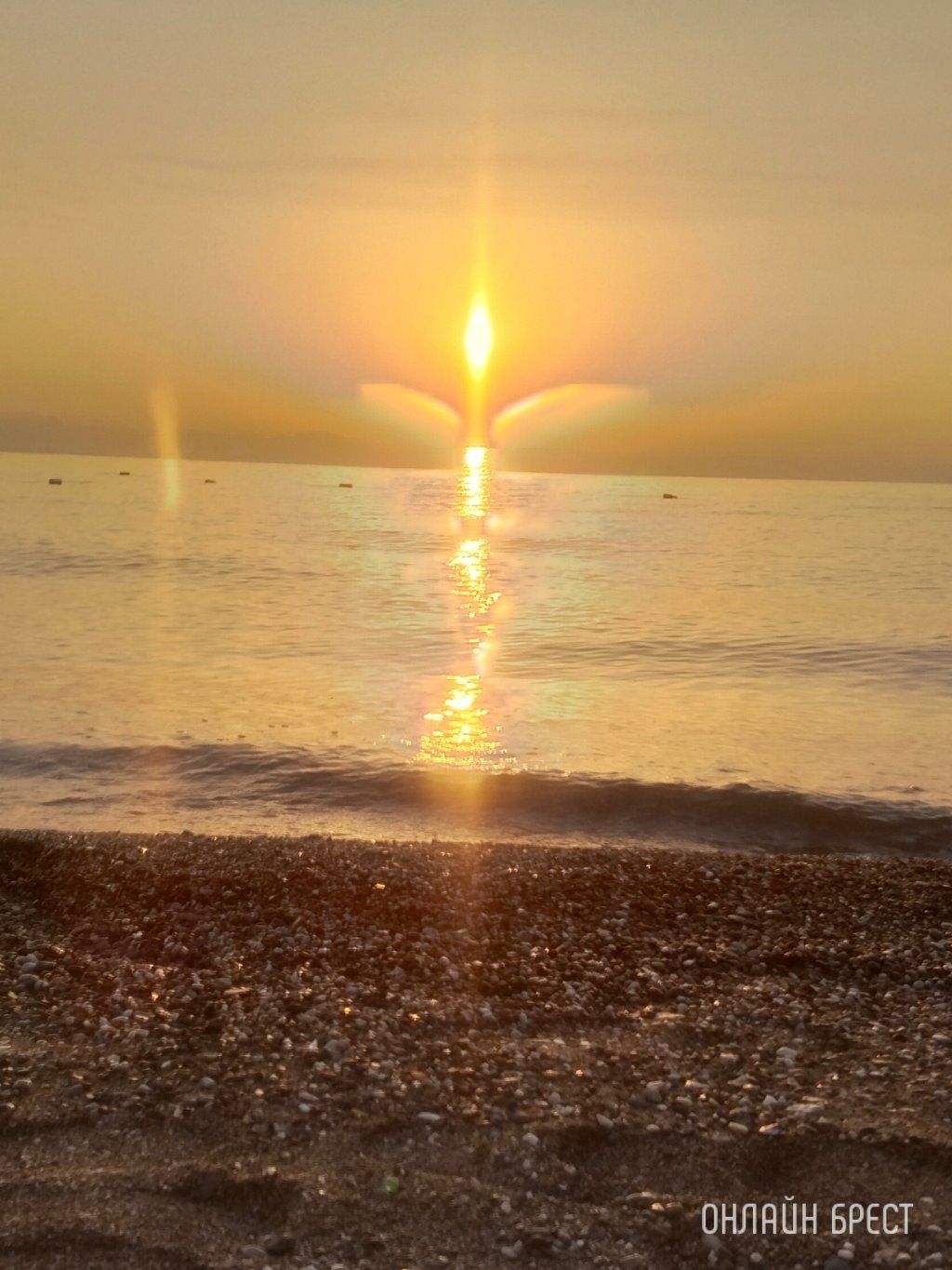 Читательница: Котапки на отдыхе :)) Привет Бресту из Бельдиби (Турция)