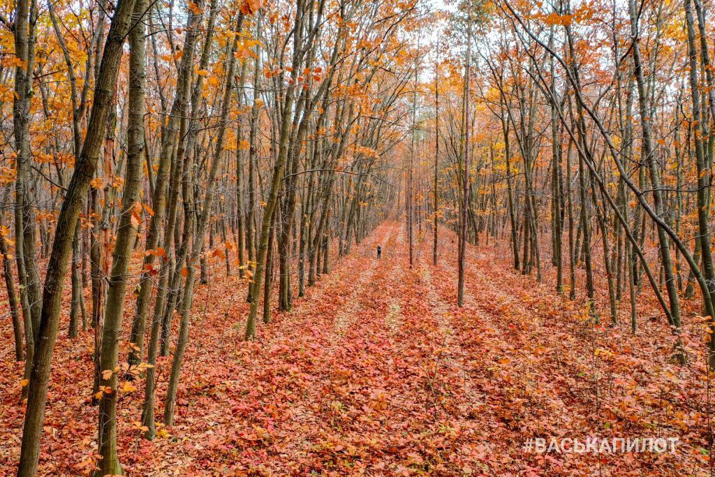 Красивая осень в Бресте