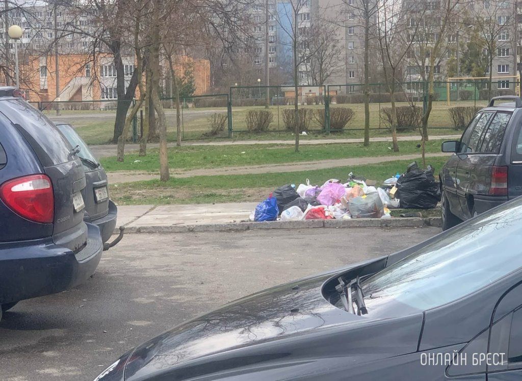 Читатель: Вот такая ситуация происходит в Бресте на ул. Орловской