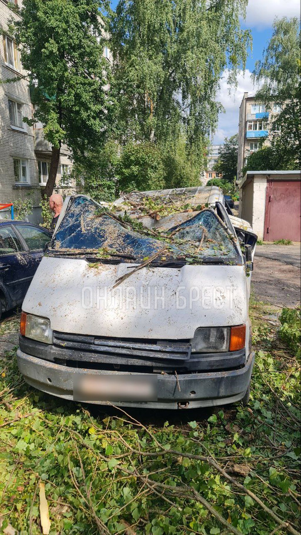 Читатель: Вот что стало с машиной, на которую упало дерево в Бресте