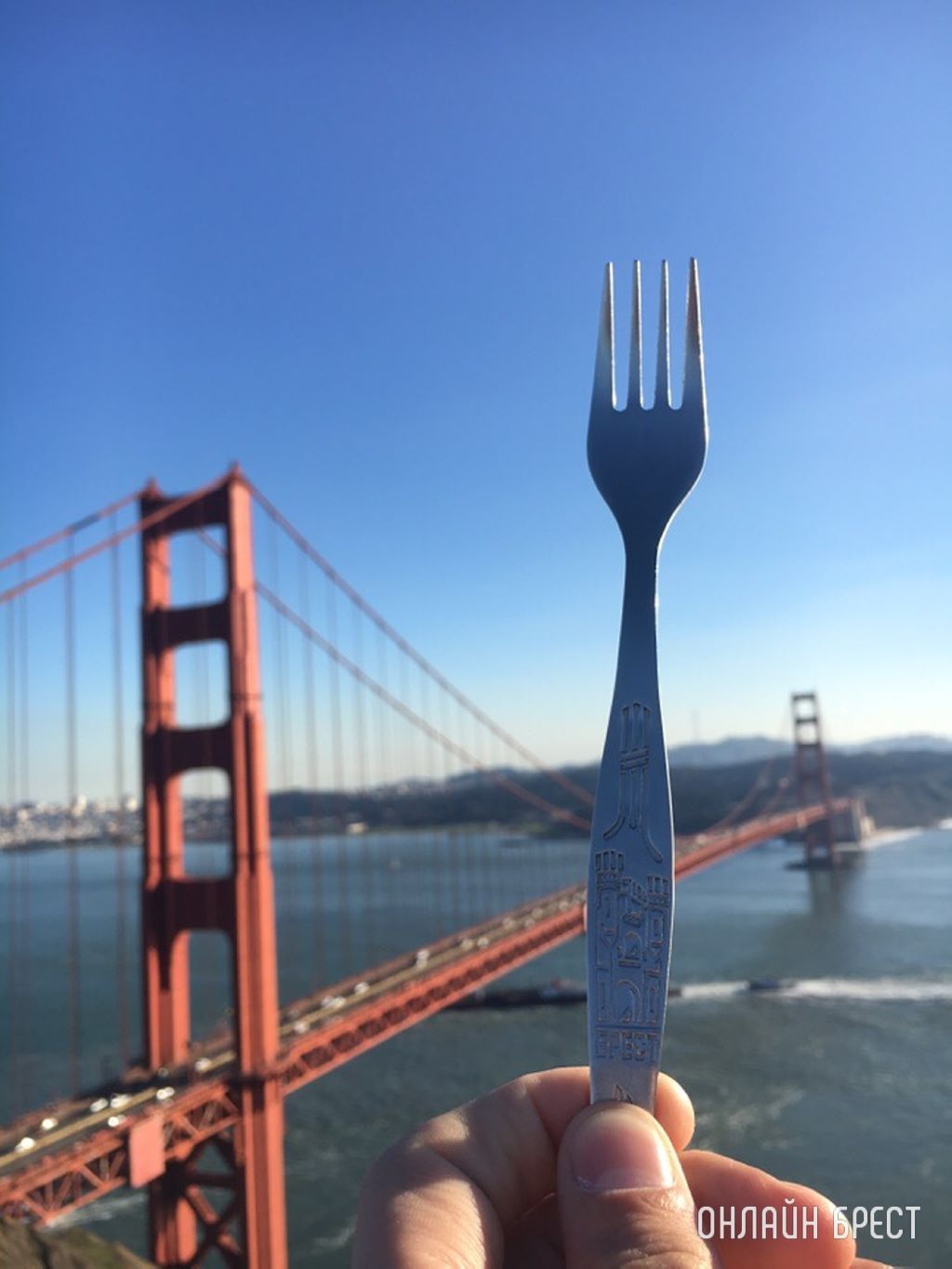 У кого есть такая вилка?