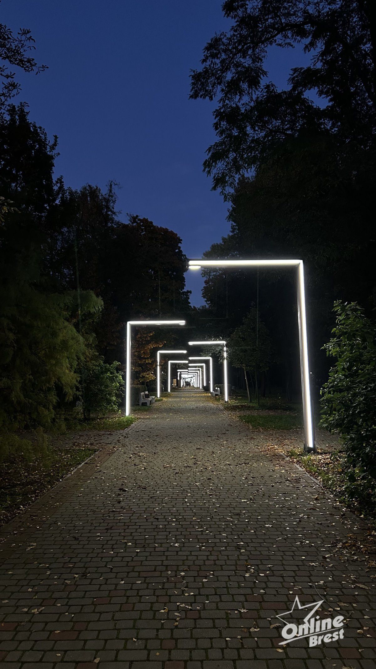 Красота осеннего Бреста: игра света и теней в парке