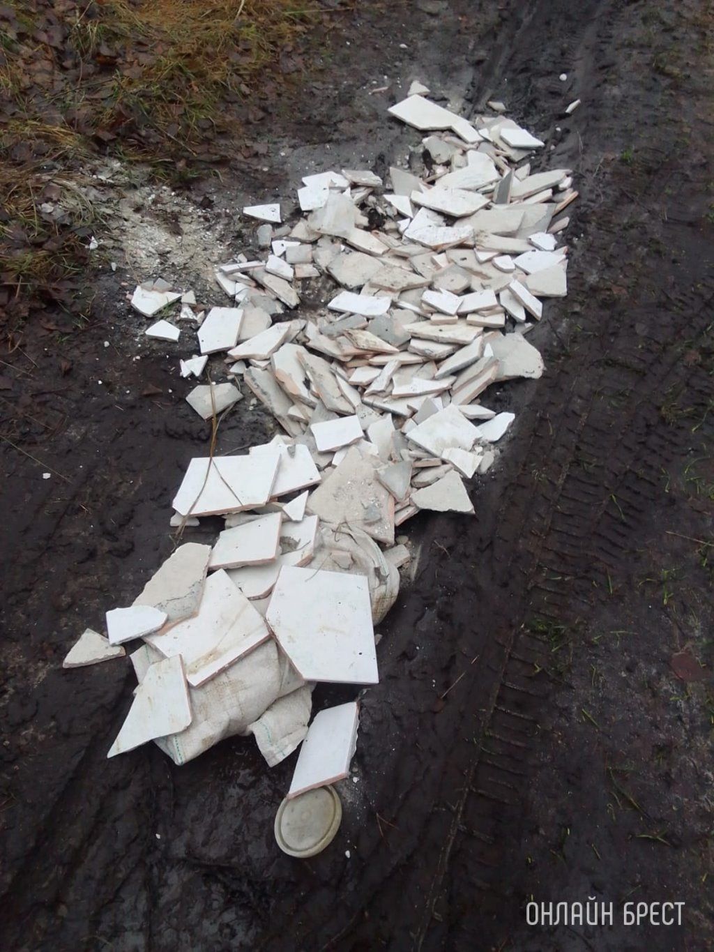 Читатель: Водитель автомобиля высыпал мусор на дорогу. Случай произошёл в лесу недалеко от населенного пункта Мухавец, Разве это нормально?