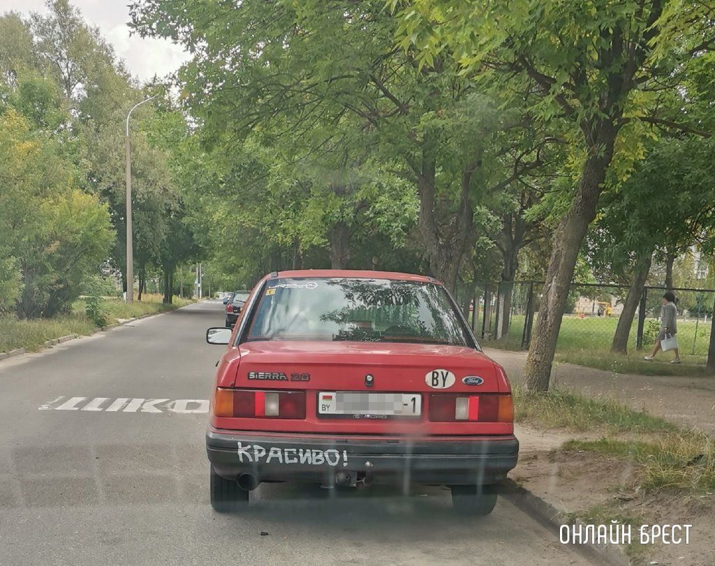 Читатель: Немного позитива в ленту :)