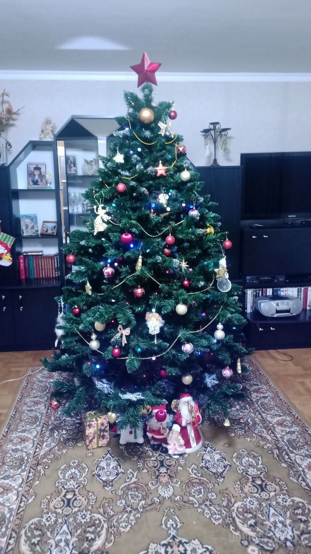 Новогодние красавицы наших читателей