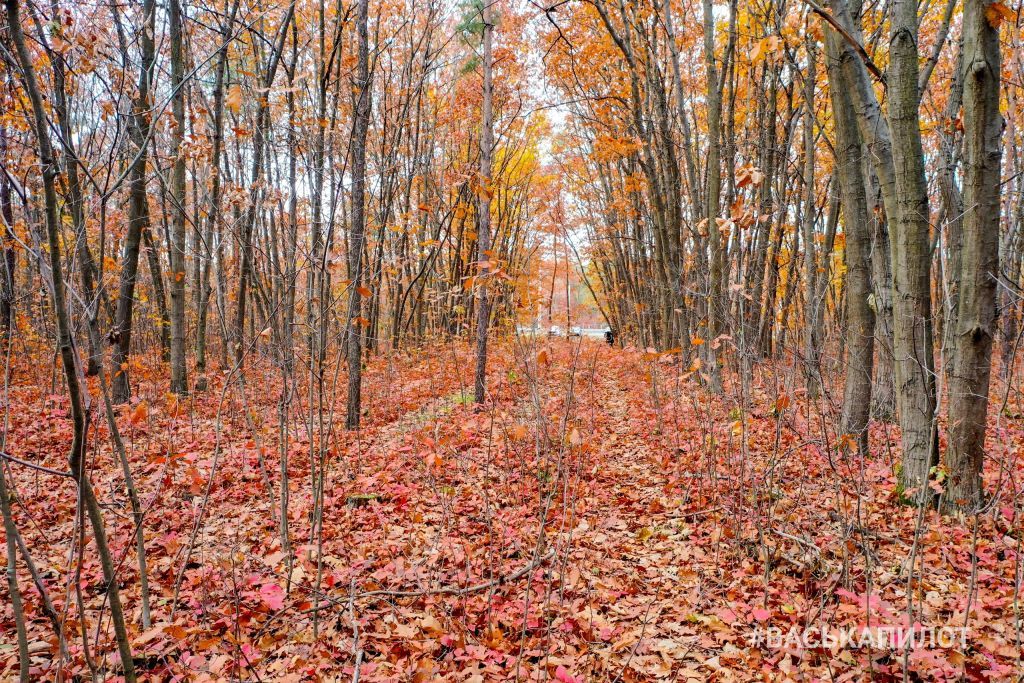 Красивая осень в Бресте