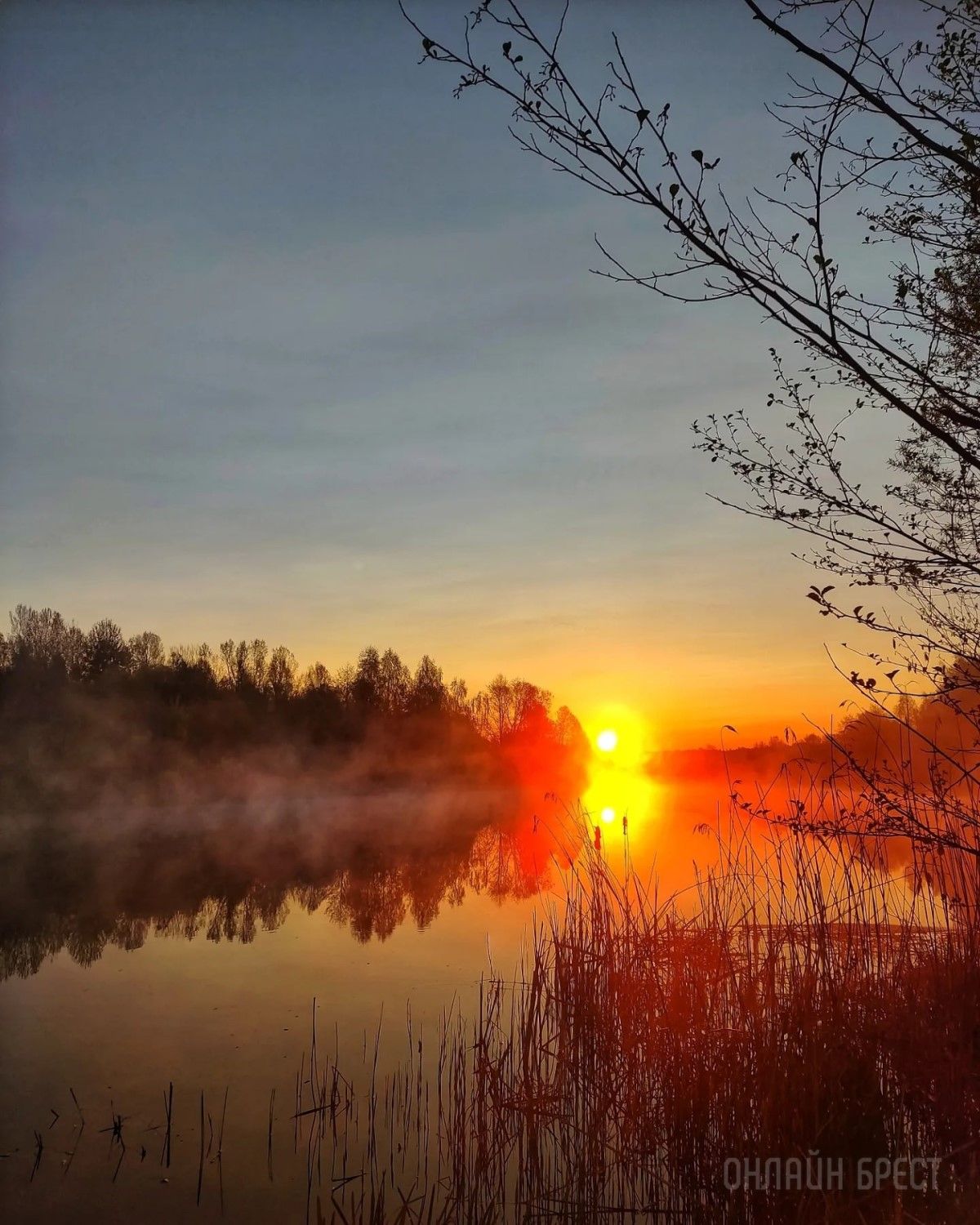 Читатель: Сегодняшний рассвет в  Жабинке