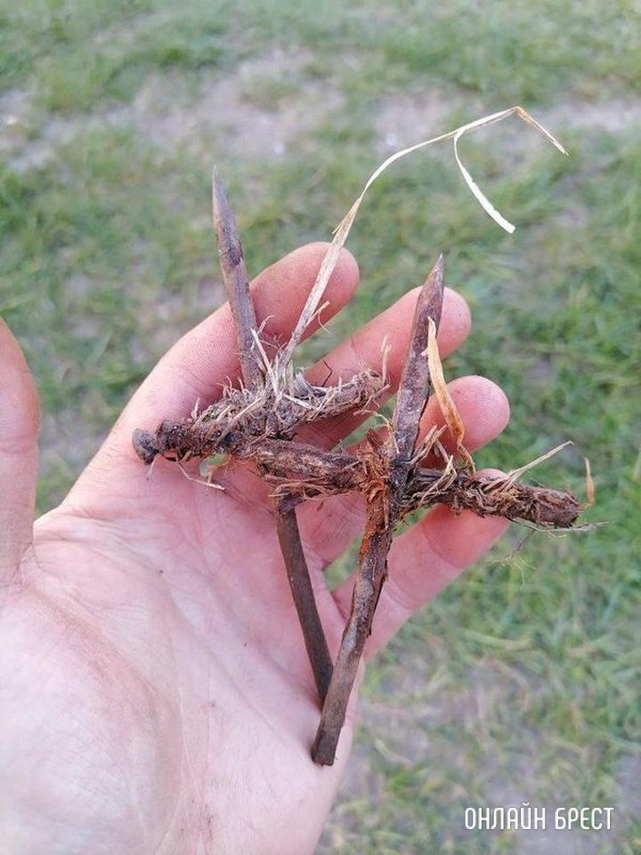 Читатель: Брестский район, д.Волки. Поехали отдохнуть на природу и ужаснулись от происходящего