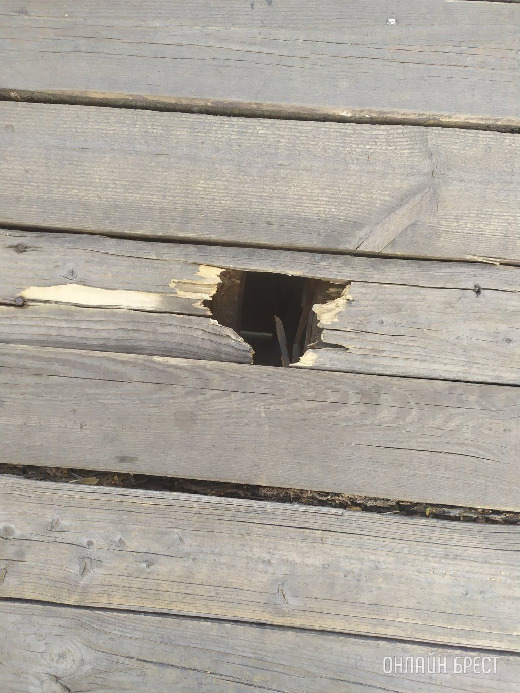 Читатель: Мост у Холмских ворот Брестской крепости. Сломанная деревяшка, опасно для детей. Будьте аккуратнее