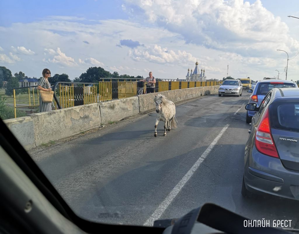 На дорогах Кобрина :)