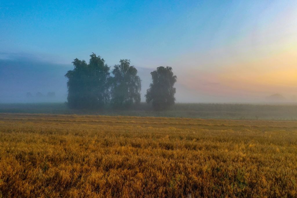Брестская область, Ивановский район, агрогородок Тышковичи