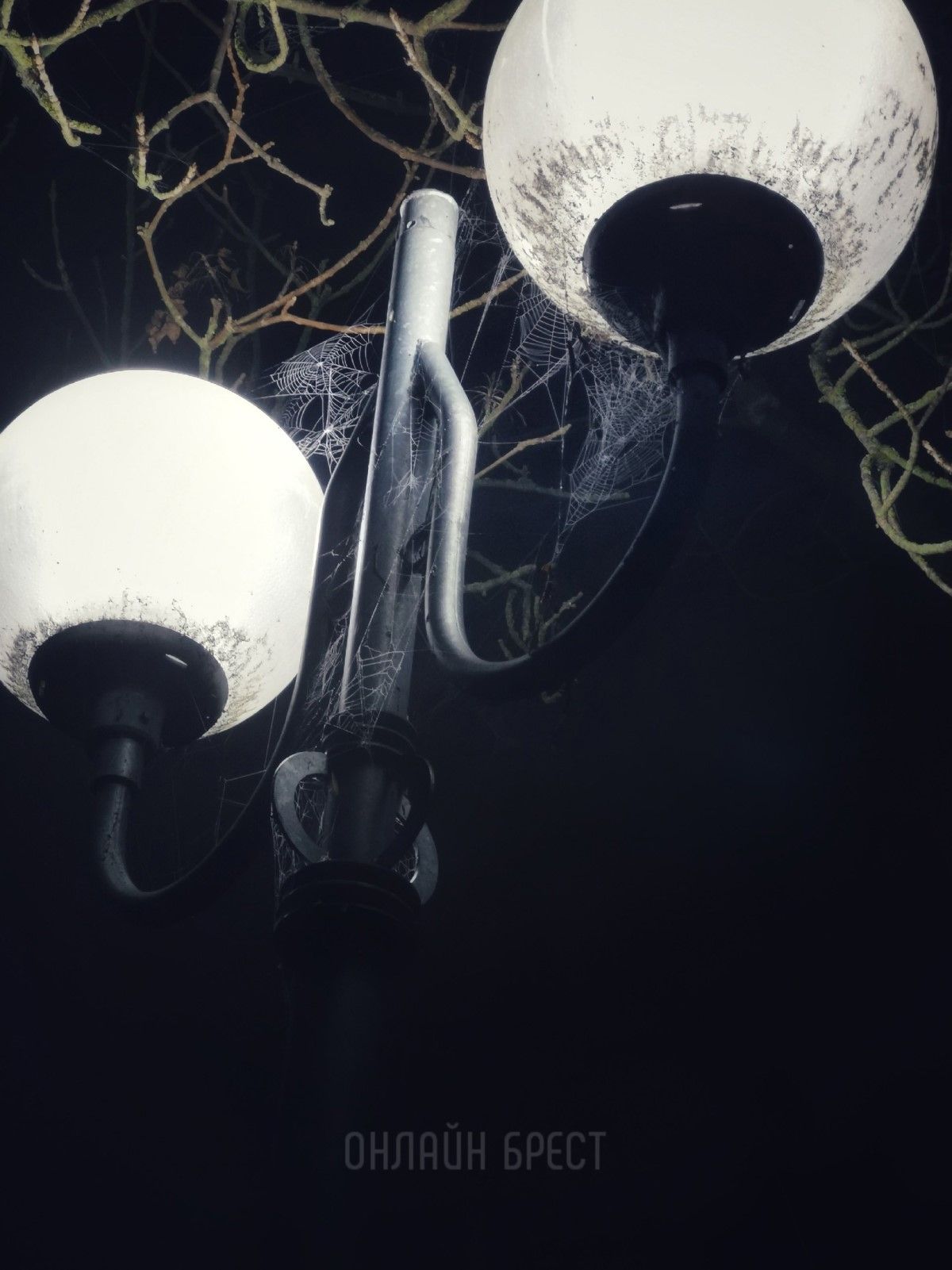 Читатель: Брест, Набережная. Фото были сделаны год назад