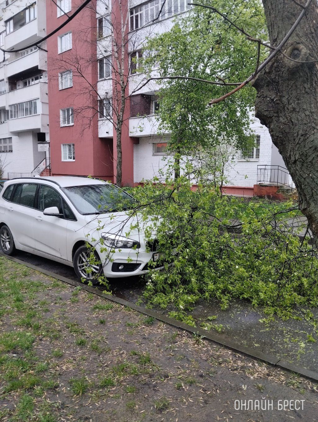 Читатель: Сегодня в Бресте, за остановкой бульвар Космонавтов