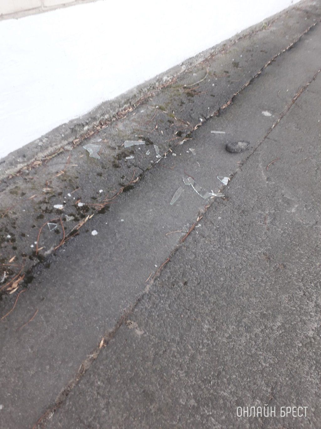 Читатель: Прошедшей ночью в Бресте на Красногвардейской, 51/1, разбили окно