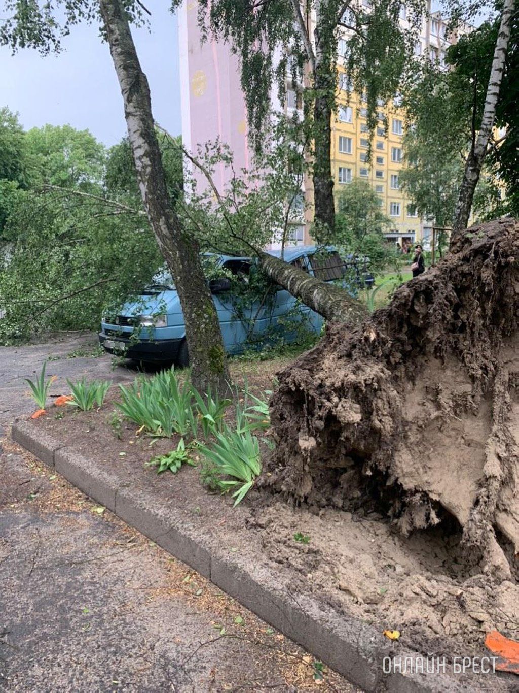 Сегодня в Пинске от непогоды пострадали машины