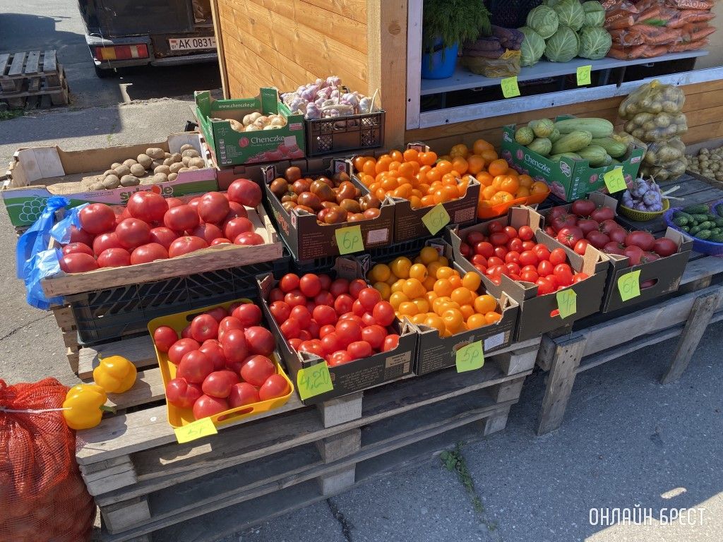 Что почем на рынке за ЦУМом в Бресте. Фоторепортаж