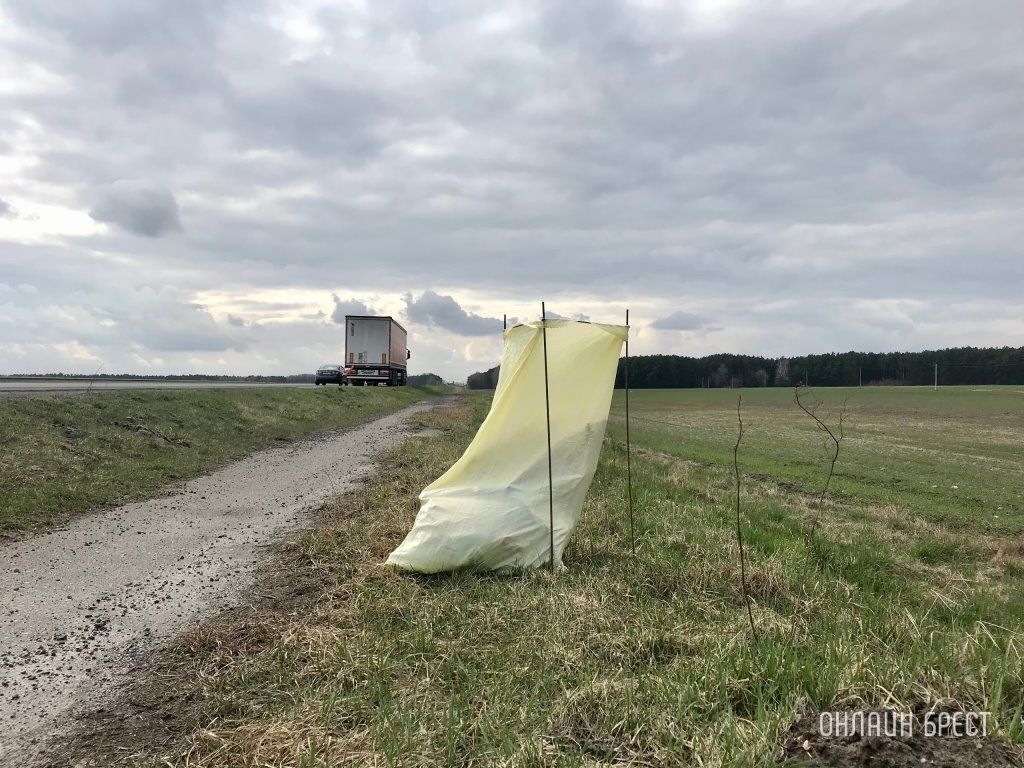 Читатель: Несмотря на большую очередь из фур, приятно видеть не только установленные БИОтуалеты вдоль участка очереди, но и такие мусорные урны