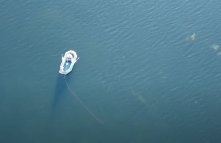 Рыбак и видеограф из Бреста запечатлел с высоты, как стая толстолобов окружила лодку