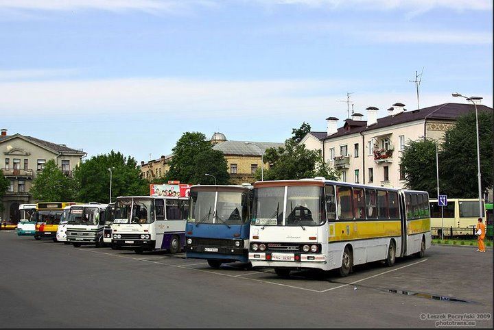 Автобусы «Икарус» на улицах Бреста