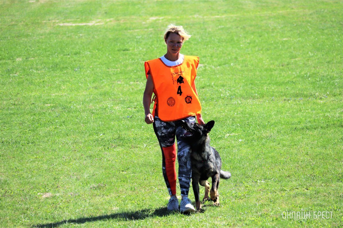 Читатель: Состязания кинологов на Гребном в Бресте. Небольшой фоторепортаж