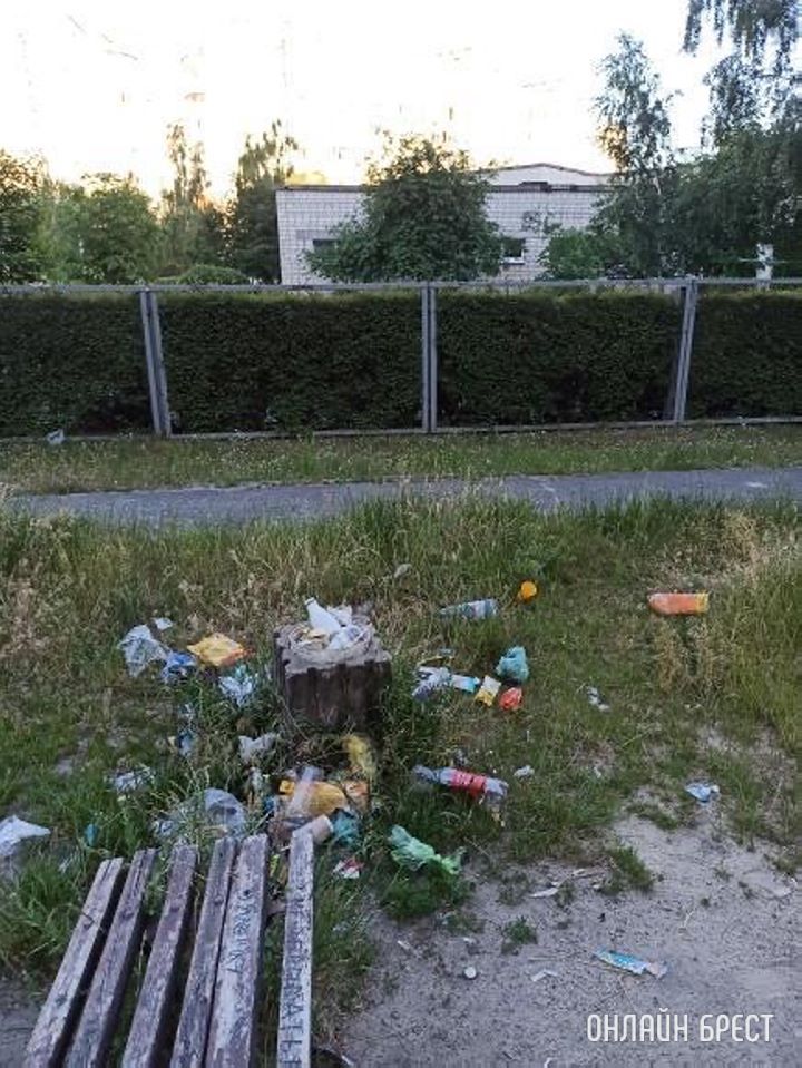 На Луцкой в Бресте возле садика. Вот что видят наши дети