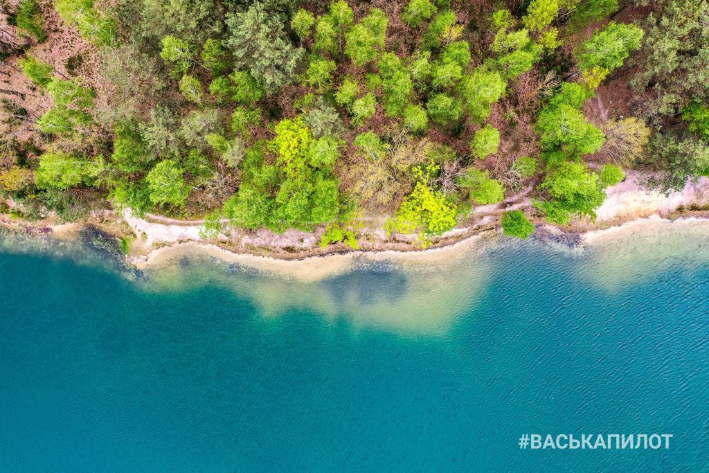 Природа возле Бреста