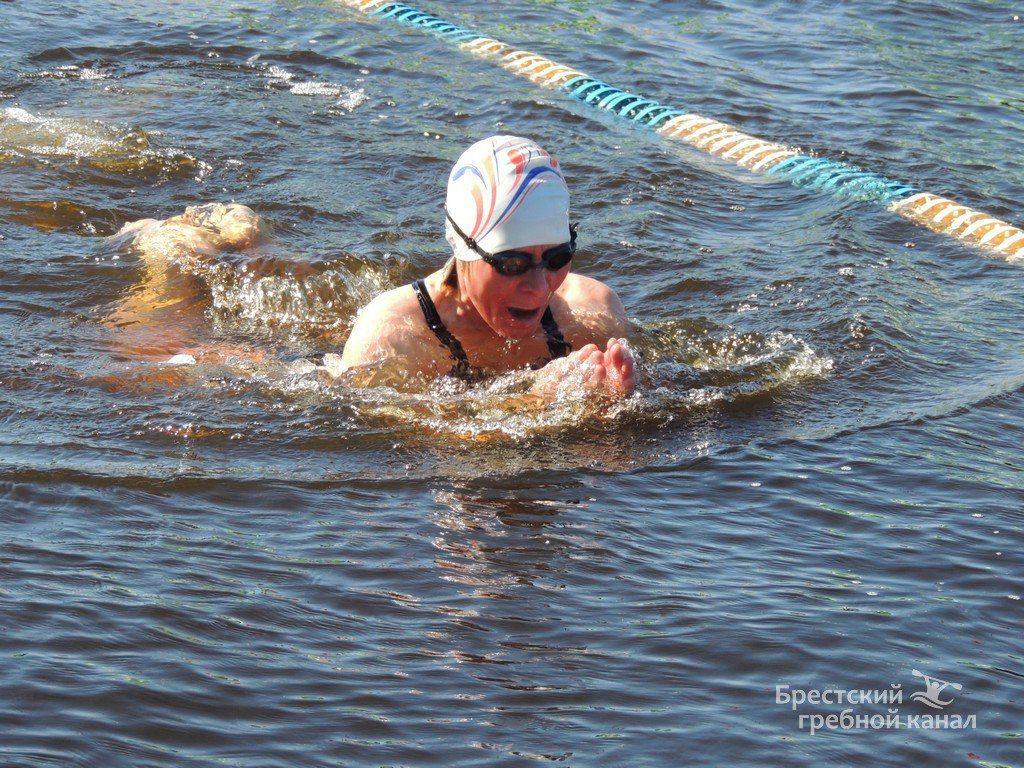 В Бресте начались соревнования по зимнему плаванию