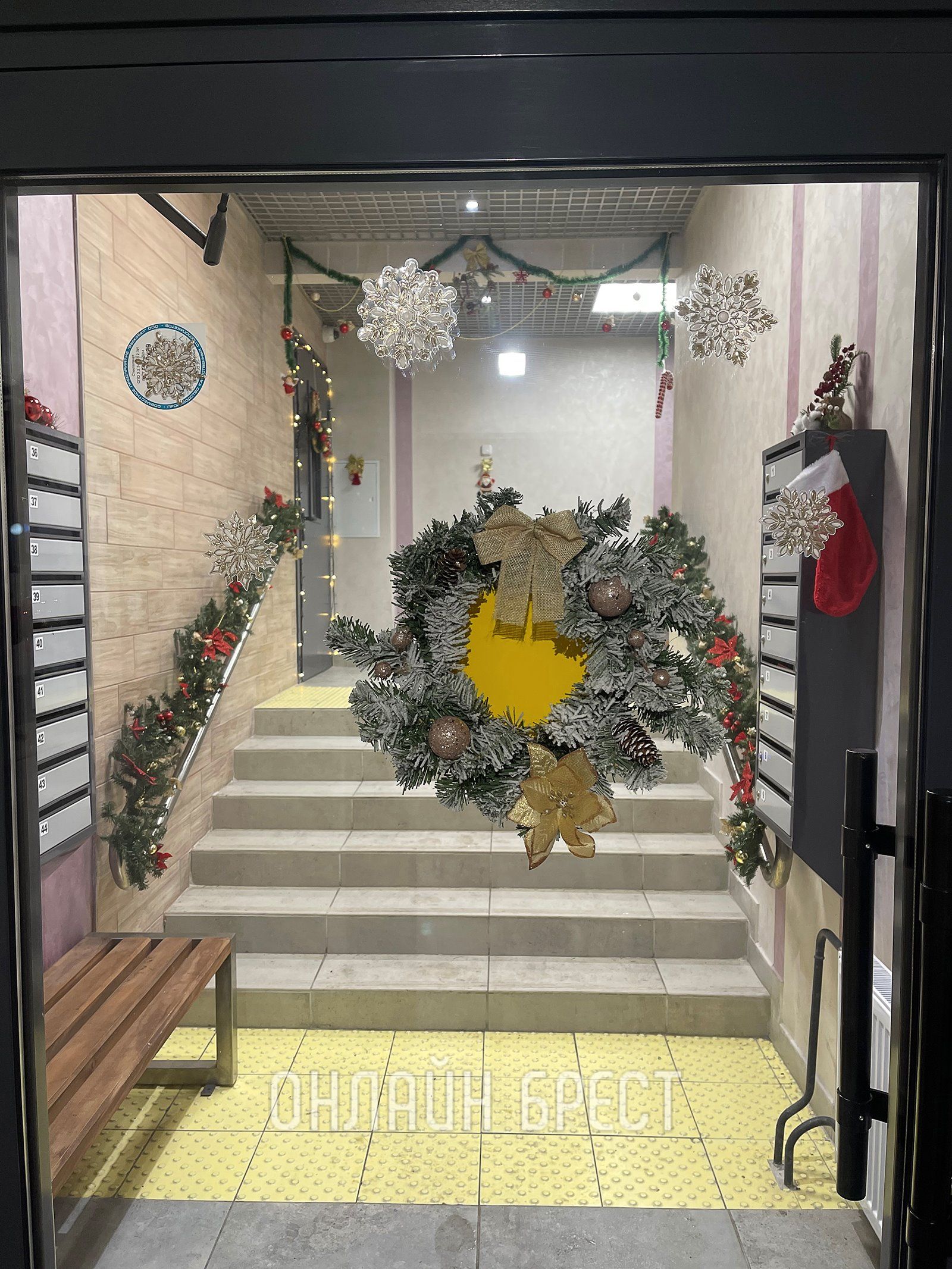 Читатель: Украшение подъезда на ул. ГОБК в Бресте