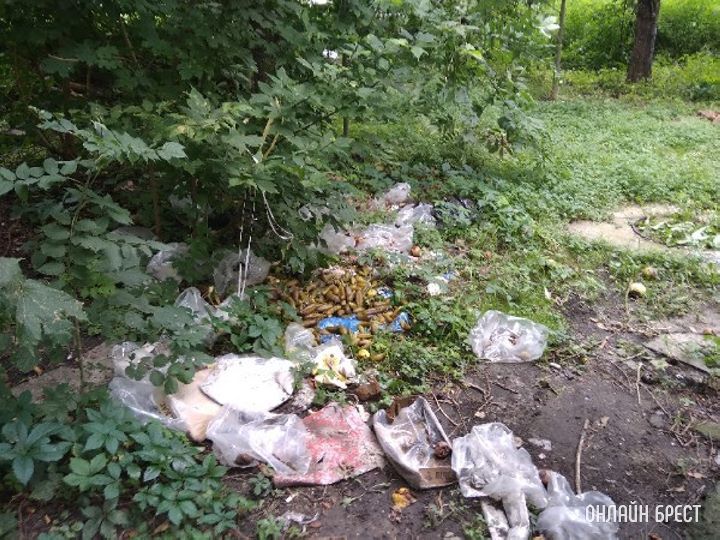 Вот так люди загрязняют наш город. Брест, ул. Гоголя