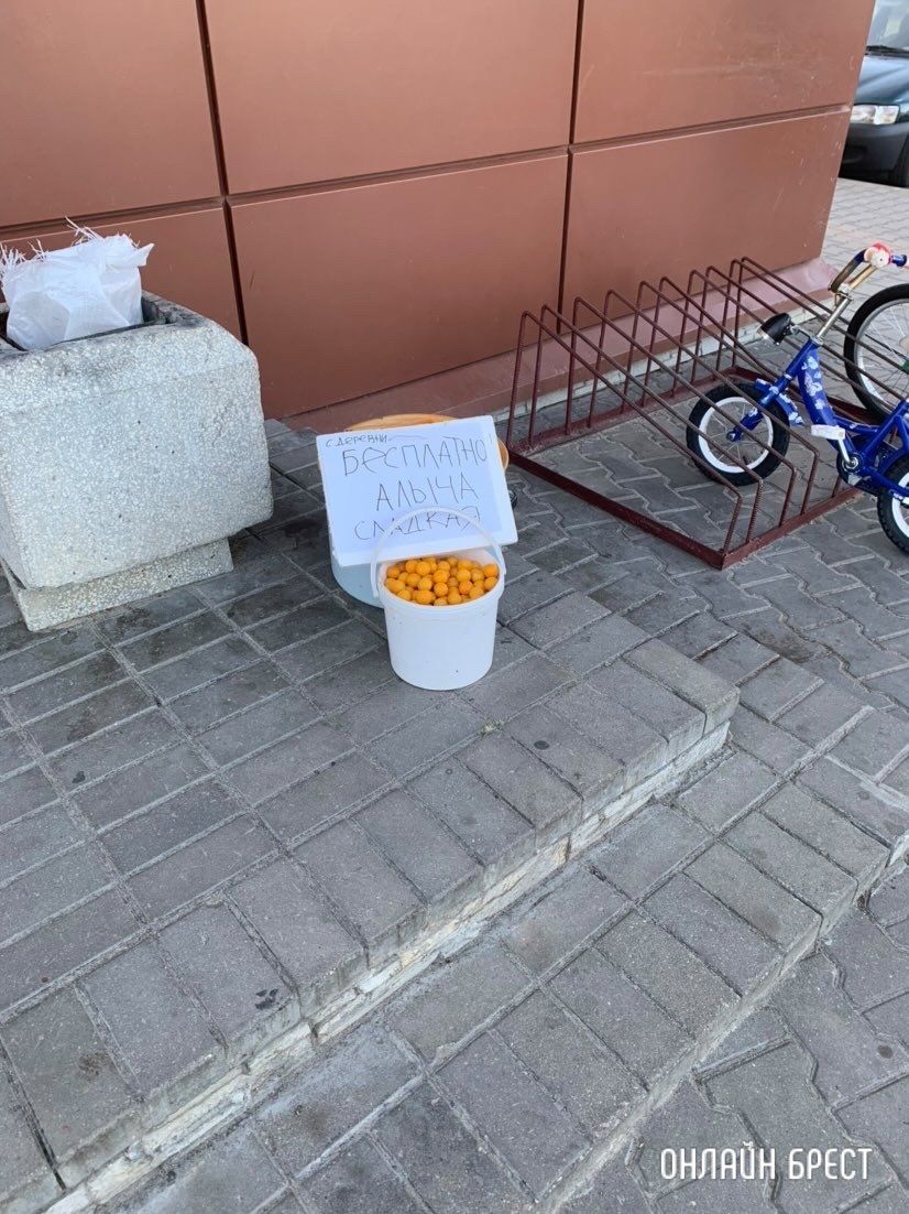 Читатель: Добрые люди. Возле магазина «Северный» на Плоске