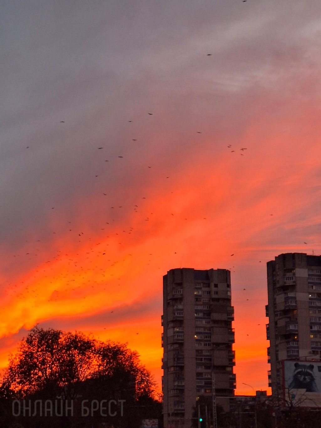 Читатель: Сегодняшний закат в Бресте