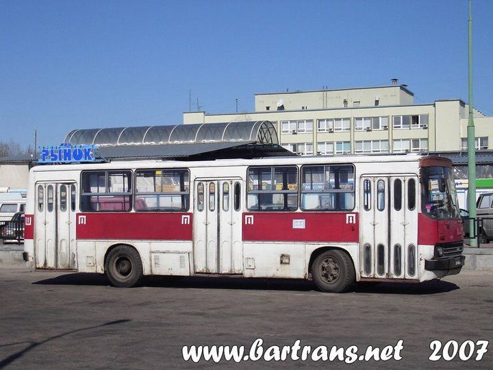 Автобусы «Икарус» на улицах Бреста (Подборка №3)